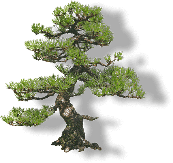 Luxury residential housekeeping London