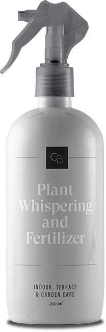 Luxury residential housekeeping London